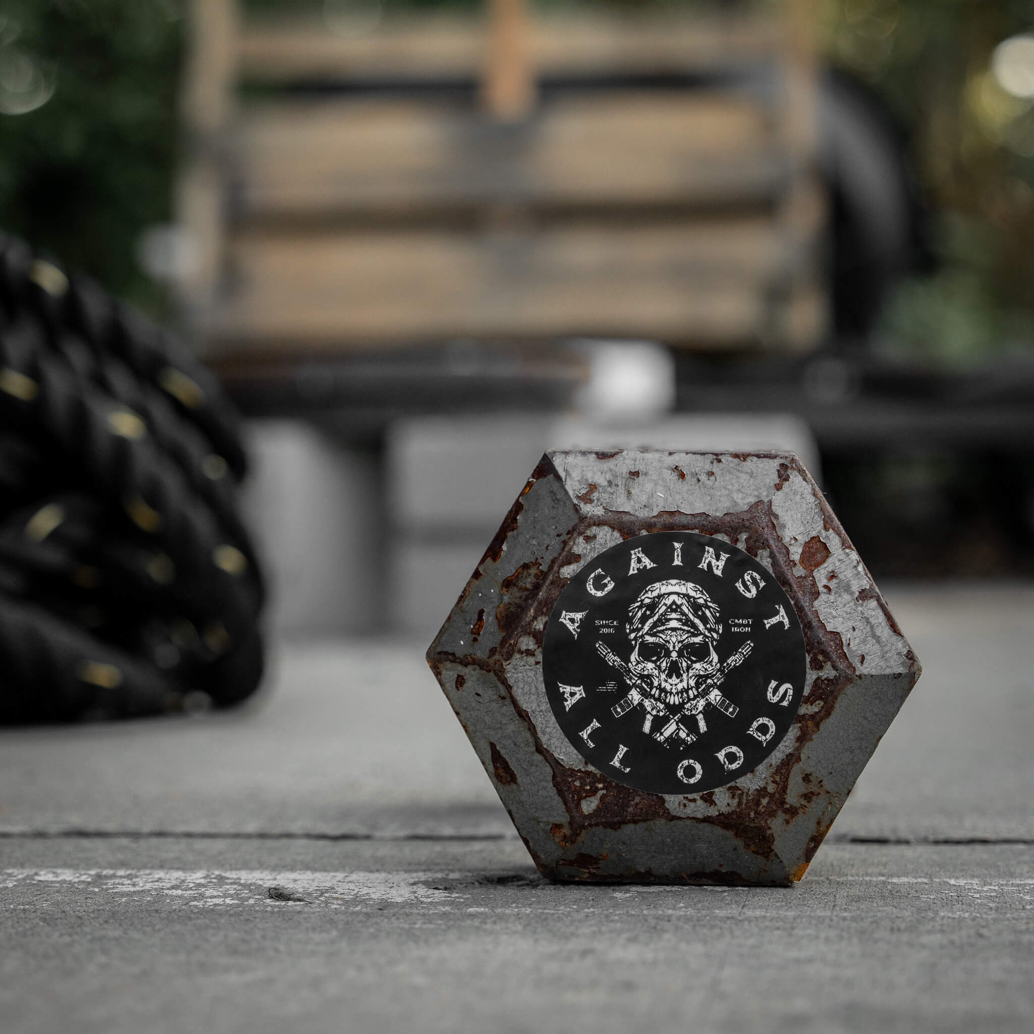 Against All Odd's Skull Decal - Image 3