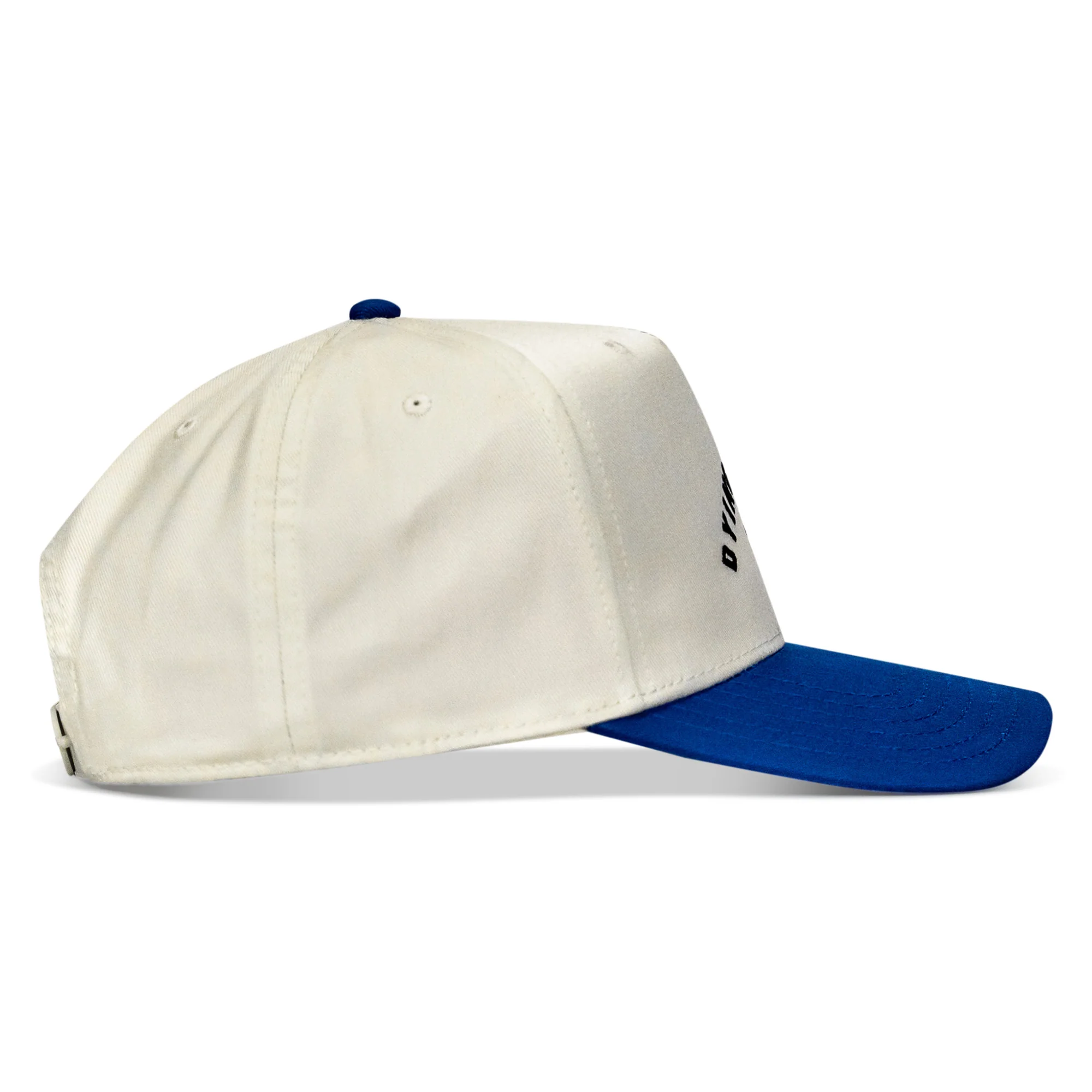Dying Is Easy Classic Snapback Hat - Image 9