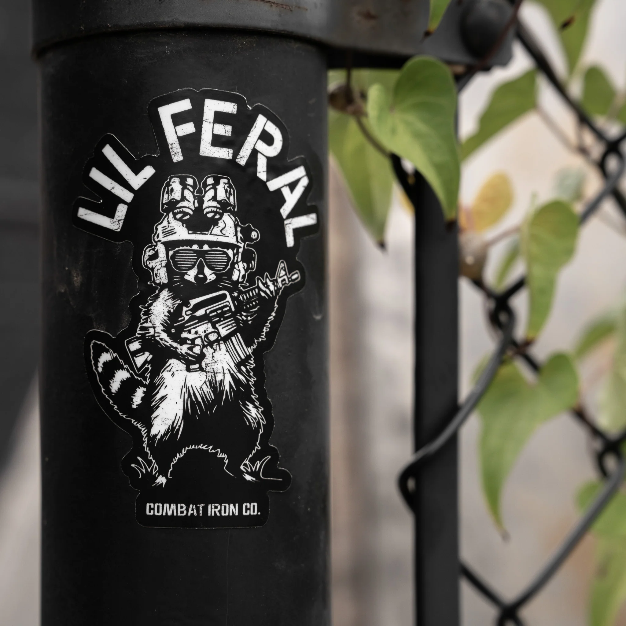 Lil Feral Racoon Decal - Image 4