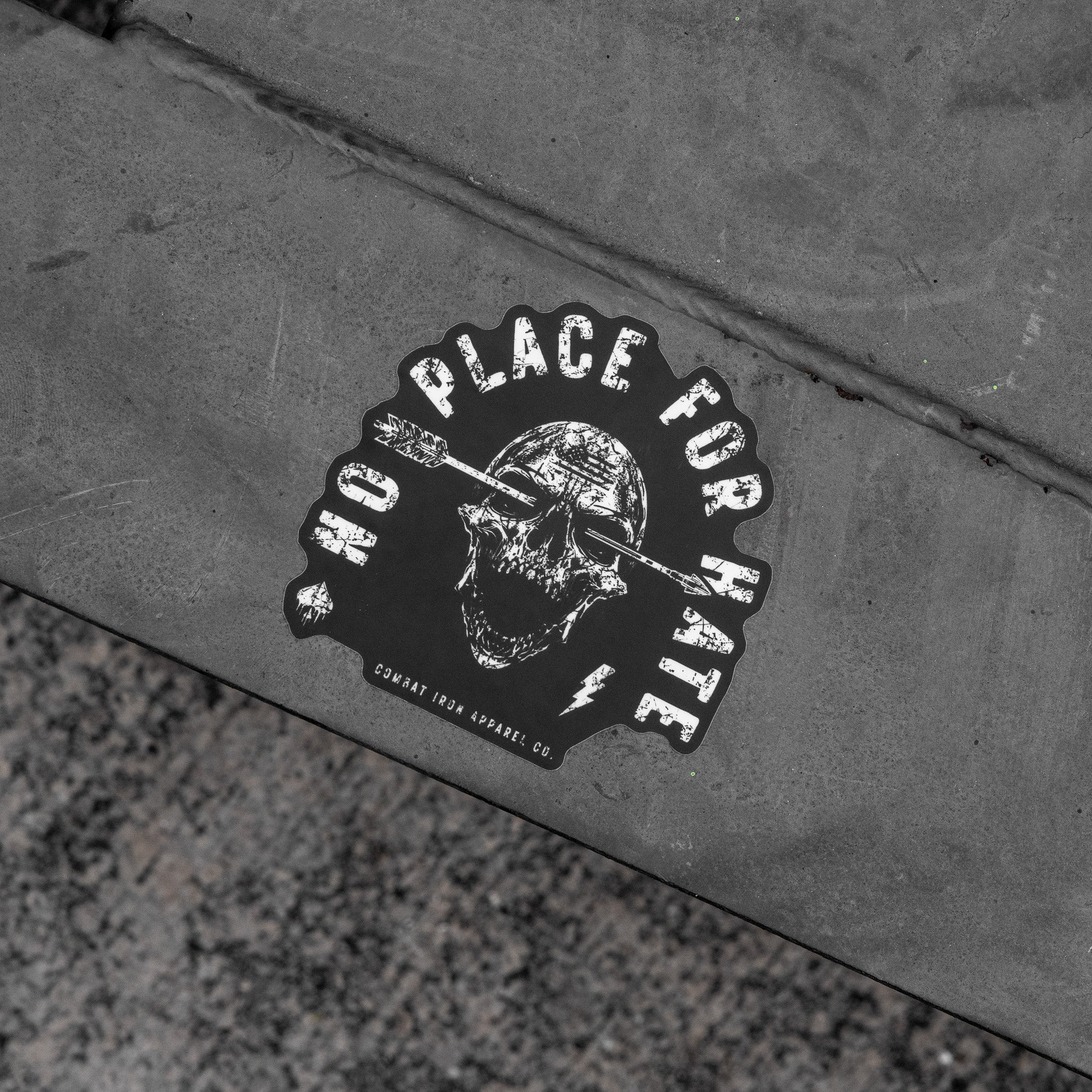No Place For Hate Skull Decal - Image 4