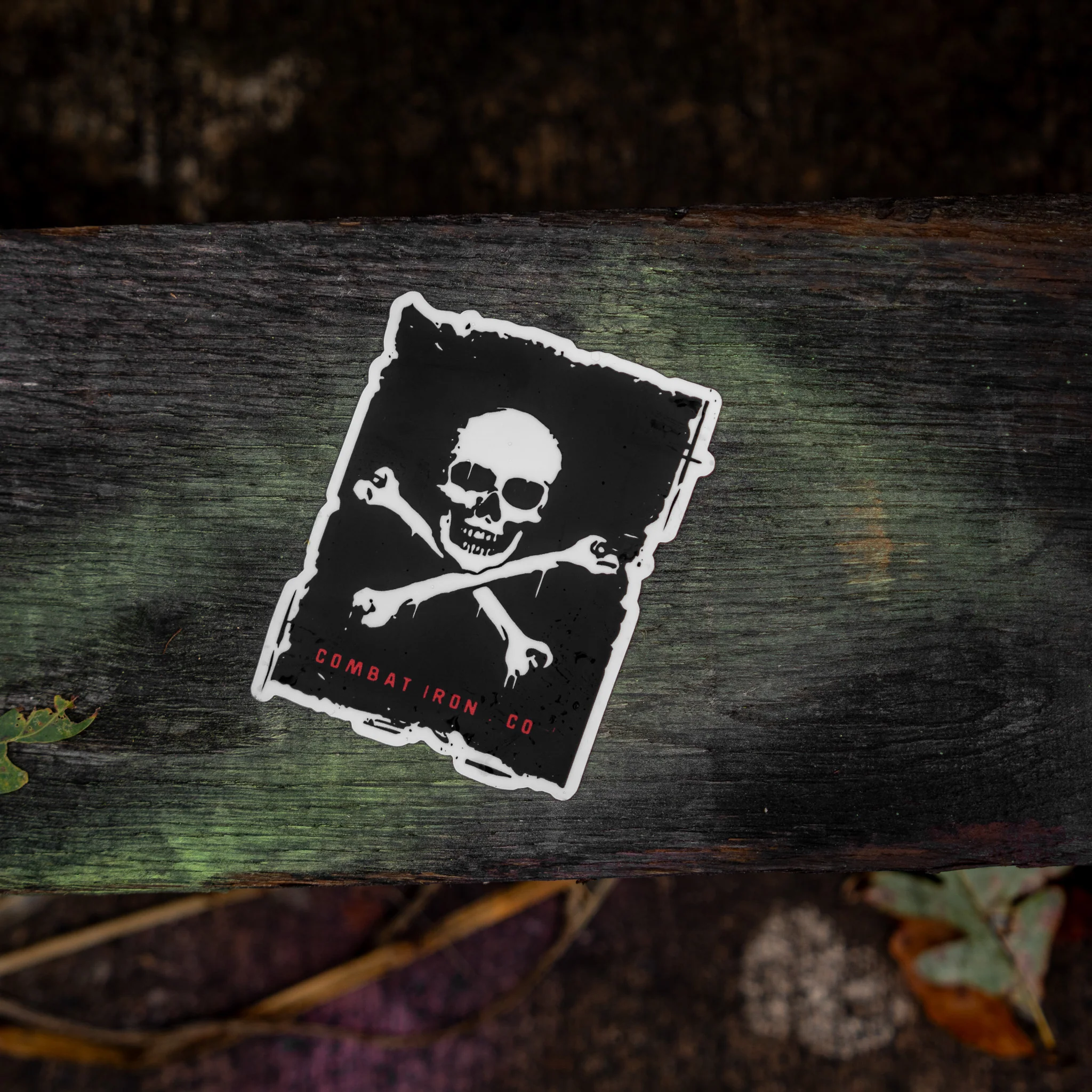Pirate Skull Decal - Image 2