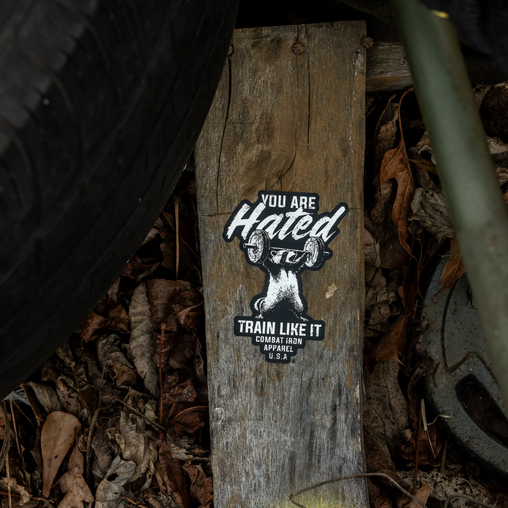 You Are Hated Train Like It Decal - Image 4