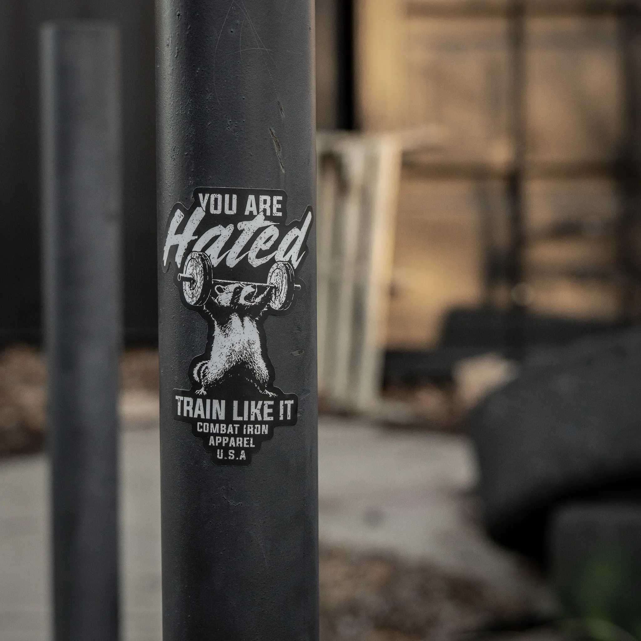 You Are Hated Train Like It Decal - Image 5